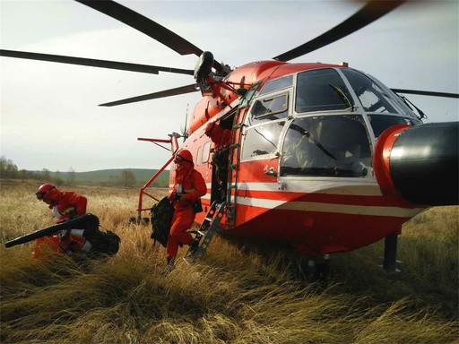 姜念涛 摄 姜念涛 摄